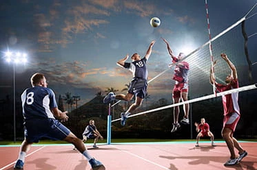 Bet on volleyball with a high winning rate
